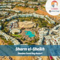 Sei pronto per immersioni mozzafiato e notti stellate in una location da sogno? Il @dominacoralbay si trova nel cuore di Sharm El Sheikh, in un paradiso circondato da barriere coralline ​🏝️​

Prossimo viaggio YOUNG (dai 18 ai 30 anni):
Sharm el Sheikh
Dal 1° all'8 novembre
Soggiorno in pensione completa al Coral Bay Resort
Con volo da Olbia, scalo a Milano compreso, a 900€ per persona ✈️
Incluse la serata al Farsha Cafè e la motorata in quad nel deserto!

Vai al link in BIO o scrivici in direct per prenotare il tuo posto!

#sharmelsheikh #adventuretime #travel #quadadventure #desertsafari